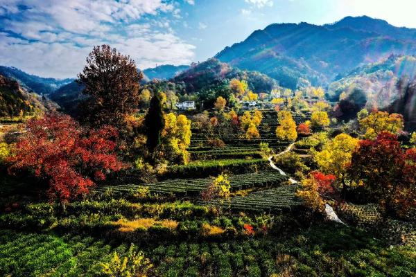 总投资约7649万元！六安市这个项目正式开工