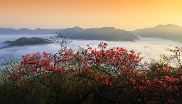 深度协同 推动共赢——《人民日报》关注沪六合作