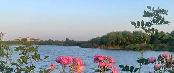 我市圆满完成2026年全市粮食储存和谷物磨制企业安全生产交叉互查和帮扶指导工作